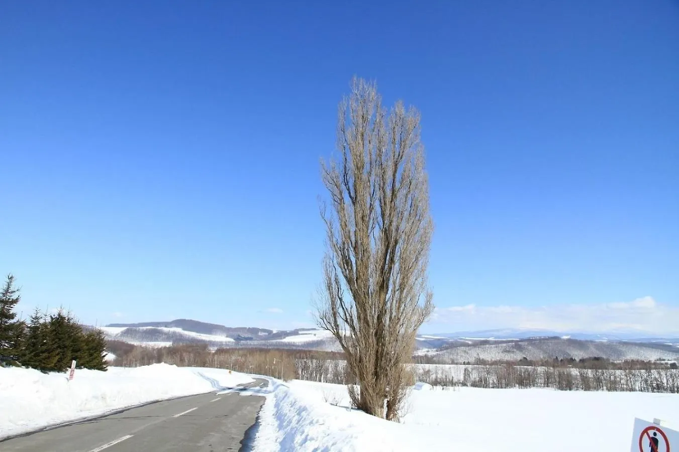Avidasion - Vacation Stay 13341 Biei Japonsko